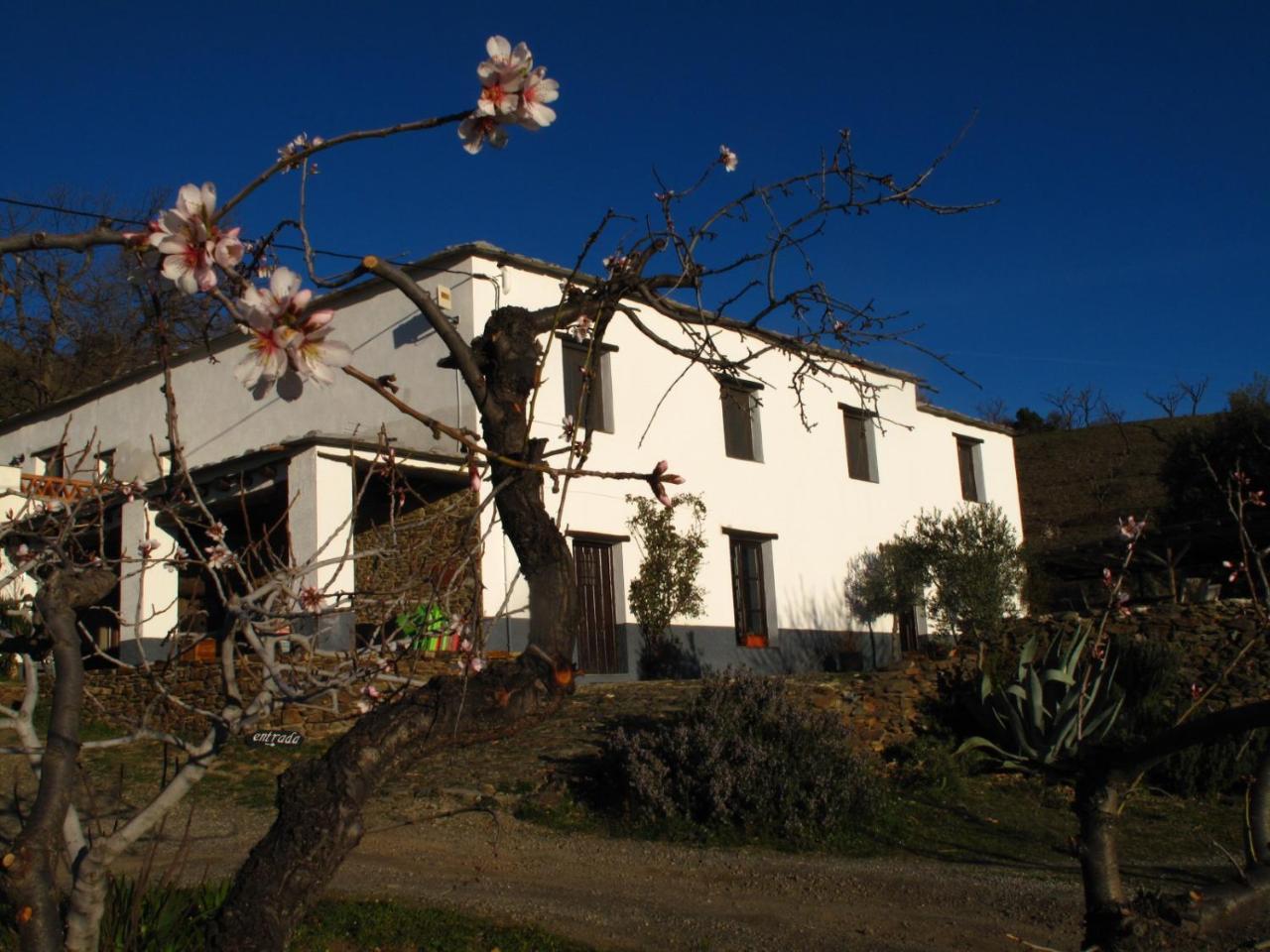 Casa Rural El Paraje De Berchules Bagian luar foto